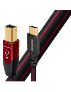 Cinnamon USB-C - Déstockage...