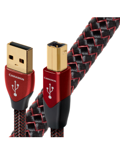 Cinnamon USB-A - Déstockage...