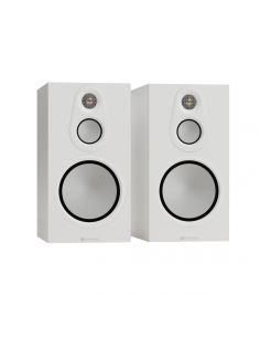 Silver 100 8G