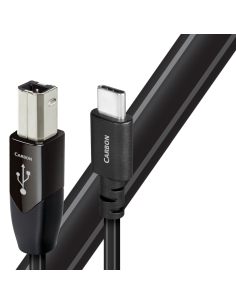 Carbon USB-C